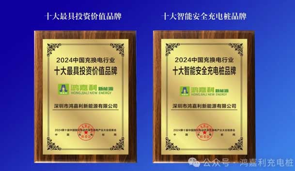 匠心致远，载誉前行：2024年云顶集团新能源荣获充换电十大品牌奖！(图5)